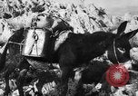 Standbild deutsche Truppen Italien, 1944, aus Sekunde 26 historischem Filmmaterial Videoclip 65675045024