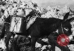 Standbild deutsche Truppen Italien, 1944, aus Sekunde 27 historischem Filmmaterial Videoclip 65675045024