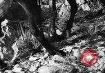 Standbild deutsche Truppen Italien, 1944, aus Sekunde 28 historischem Filmmaterial Videoclip 65675045024