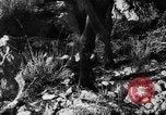 Standbild deutsche Truppen Italien, 1944, aus Sekunde 29 historischem Filmmaterial Videoclip 65675045024