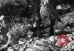 Standbild deutsche Truppen Italien, 1944, aus Sekunde 30 historischem Filmmaterial Videoclip 65675045024