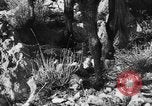 Standbild deutsche Truppen Italien, 1944, aus Sekunde 31 historischem Filmmaterial Videoclip 65675045024