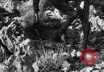 Standbild deutsche Truppen Italien, 1944, aus Sekunde 32 historischem Filmmaterial Videoclip 65675045024