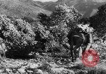 Standbild deutsche Truppen Italien, 1944, aus Sekunde 36 historischem Filmmaterial Videoclip 65675045024
