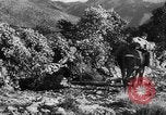 Standbild deutsche Truppen Italien, 1944, aus Sekunde 37 historischem Filmmaterial Videoclip 65675045024