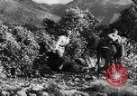 Standbild deutsche Truppen Italien, 1944, aus Sekunde 38 historischem Filmmaterial Videoclip 65675045024
