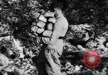 Standbild deutsche Truppen Italien, 1944, aus Sekunde 51 historischem Filmmaterial Videoclip 65675045024