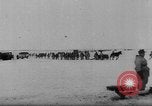 Immagine di Il tedesco rocket artiglieria e prigionieri di guerra sovietici Kirovohrad Ucraina, 1944, secondo 20 filmato di repertorio 65675045026