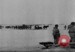 Immagine di Il tedesco rocket artiglieria e prigionieri di guerra sovietici Kirovohrad Ucraina, 1944, secondo 21 filmato di repertorio 65675045026