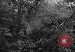 Image of Indian troops on Kashmir border India, 1966, second 27 stock footage video 65675045077