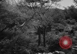 Image of Indian troops on Kashmir border India, 1966, second 29 stock footage video 65675045077