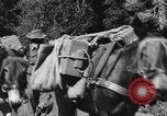 Image of Indian troops on Kashmir border India, 1966, second 54 stock footage video 65675045077