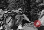 Image of Indian troops on Kashmir border India, 1966, second 55 stock footage video 65675045077