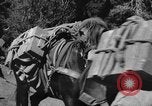Image of Indian troops on Kashmir border India, 1966, second 57 stock footage video 65675045077