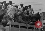 Image les émeutes religieuses Pakistan, 1963, de la seconde 41 séquences d'archives historiques vidéo 65675045079
