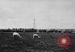 Standbild Ölfeld Frankreich, 1950, aus Sekunde 18 historischem Filmmaterial Videoclip 65675045096