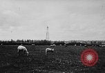 Standbild Ölfeld Frankreich, 1950, aus Sekunde 19 historischem Filmmaterial Videoclip 65675045096