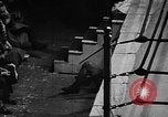Image of professional wrestling match Cleveland Ohio USA, 1950, second 55 stock footage video 65675045098