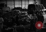 Image of United States Air Force C- 119 aircraft Netherlands, 1953, second 14 stock footage video 65675045132