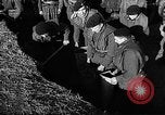 Image of flooded area Netherlands, 1953, second 1 stock footage video 65675045133