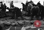 Image of flooded area Netherlands, 1953, second 27 stock footage video 65675045133