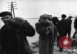 Image of flooded area Netherlands, 1953, second 32 stock footage video 65675045133