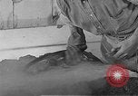Image of Works Progress Administration Massachusetts United States USA, 1937, second 51 stock footage video 65675045139