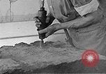 Image of Works Progress Administration Massachusetts United States USA, 1937, second 53 stock footage video 65675045139