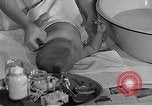 Image of Works Progress Administration Massachusetts United States USA, 1937, second 35 stock footage video 65675045140