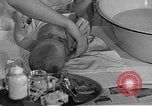 Image of Works Progress Administration Massachusetts United States USA, 1937, second 36 stock footage video 65675045140