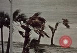 Image of People prepare for hurricane  United States USA, 1979, second 12 stock footage video 65675045143