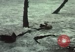 Image of People prepare for hurricane  United States USA, 1979, second 35 stock footage video 65675045143