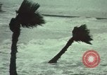 Image of People prepare for hurricane  United States USA, 1979, second 37 stock footage video 65675045143