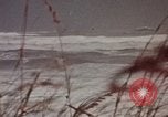 Image of hurricane evacuation United States USA, 1979, second 11 stock footage video 65675045144