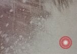 Image of hurricane evacuation United States USA, 1979, second 21 stock footage video 65675045144