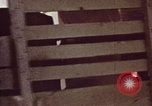 Image of hurricane evacuation United States USA, 1979, second 30 stock footage video 65675045144