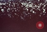 Image of hurricane evacuation United States USA, 1979, second 52 stock footage video 65675045144