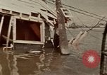 Image of hurricane United States USA, 1980, second 27 stock footage video 65675045145