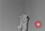 Immagine di L'aratura e la raccolta di frumento United States USA, 1936, secondo 3 filmato di repertorio 65675045147