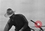 Immagine di L'aratura e la raccolta di frumento United States USA, 1936, secondo 29 filmato di repertorio 65675045147