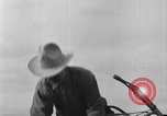 Immagine di L'aratura e la raccolta di frumento United States USA, 1936, secondo 31 filmato di repertorio 65675045147
