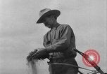 Immagine di L'aratura e la raccolta di frumento United States USA, 1936, secondo 33 filmato di repertorio 65675045147