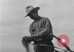 Immagine di L'aratura e la raccolta di frumento United States USA, 1936, secondo 34 filmato di repertorio 65675045147