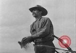 Immagine di L'aratura e la raccolta di frumento United States USA, 1936, secondo 36 filmato di repertorio 65675045147