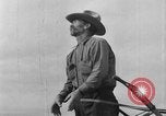 Immagine di L'aratura e la raccolta di frumento United States USA, 1936, secondo 39 filmato di repertorio 65675045147