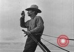 Immagine di L'aratura e la raccolta di frumento United States USA, 1936, secondo 40 filmato di repertorio 65675045147