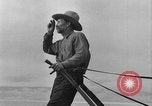Immagine di L'aratura e la raccolta di frumento United States USA, 1936, secondo 43 filmato di repertorio 65675045147