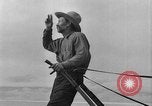 Immagine di L'aratura e la raccolta di frumento United States USA, 1936, secondo 44 filmato di repertorio 65675045147