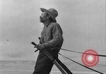 Immagine di L'aratura e la raccolta di frumento United States USA, 1936, secondo 46 filmato di repertorio 65675045147