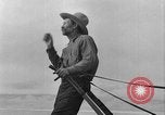 Immagine di L'aratura e la raccolta di frumento United States USA, 1936, secondo 47 filmato di repertorio 65675045147